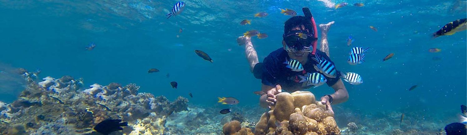 Chumbe Island Coral Park