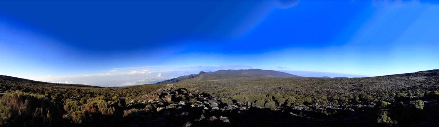 Kilimanjaro dawn on the Shira Plateau