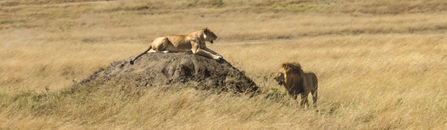 Serengeti National Park