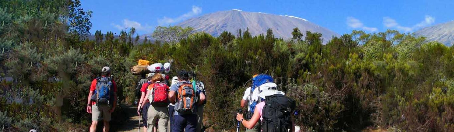 simba camp kilimanjaro_